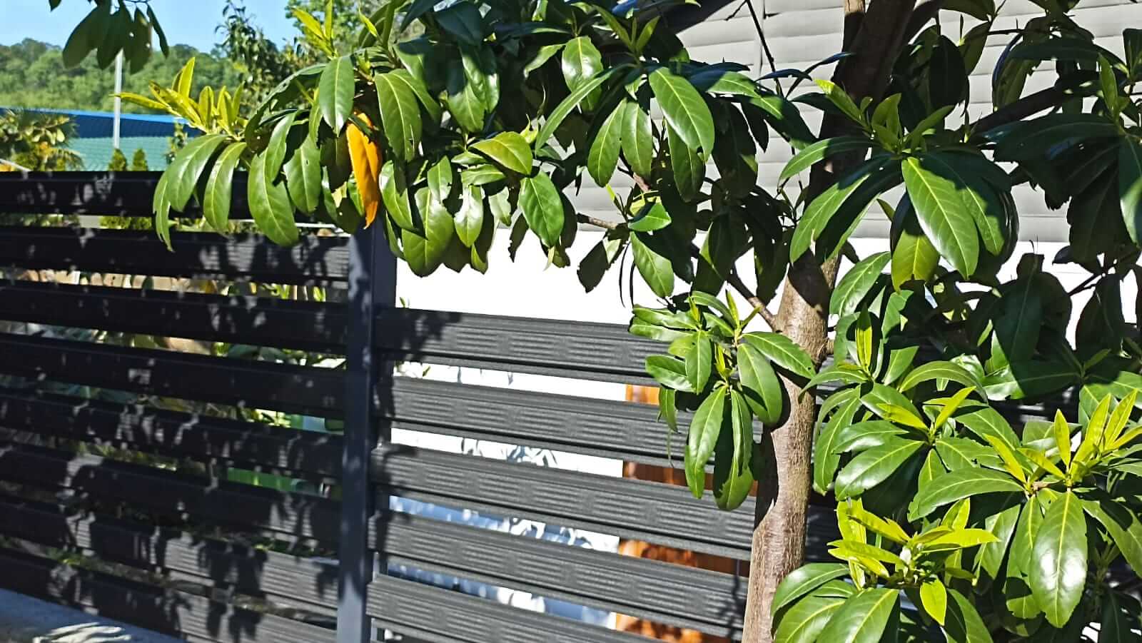 Забор из штакетника 90м RAL7024/7024 Серый Графит фото6 в Кременкуле