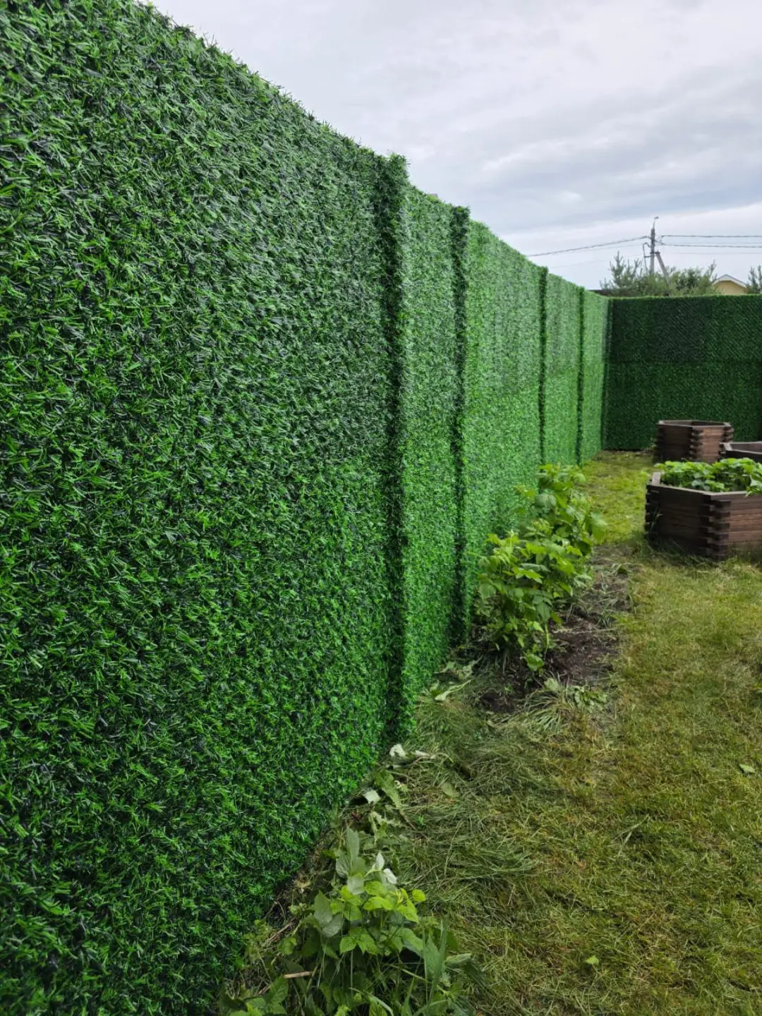 Вечнозеленый забор Grass Fence 37м фото 1 в Кременкуле